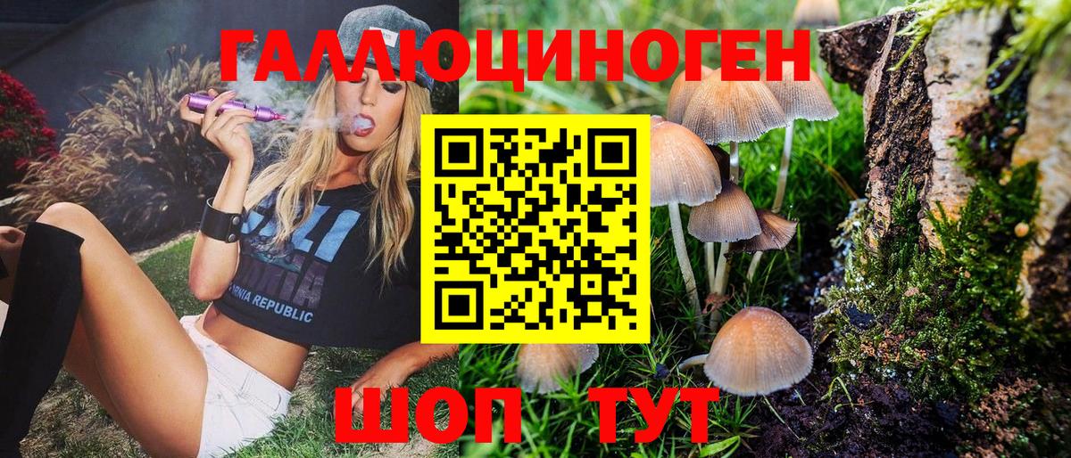 продажа наркотиков  Псилоцибиновые грибы MAGIC MUSHROOMS  Галлюциногенные грибы Magic Shrooms  Вход с VPN  Курчатов 